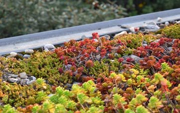 the cost of Carzield green roof installation