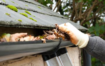 gutter cleaning Carzield, Dumfries And Galloway
