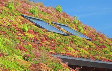 Carzield living roof systems