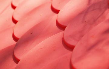 Carzield plastic roof costs