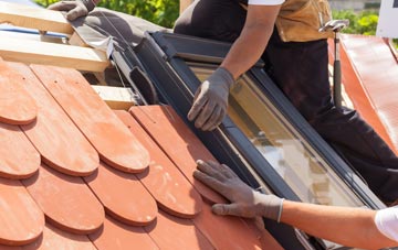 replacement Carzield roof windows