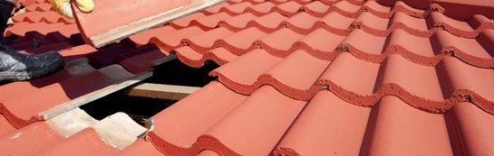 compare Carzield roof repair quotes