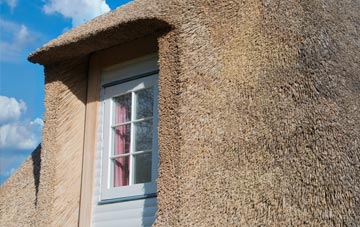 Carzield thatch roof disadvantages