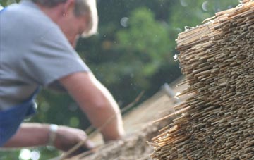 professional Carzield thatchers