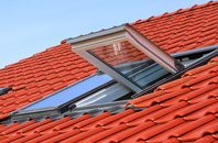 Carzield roof window